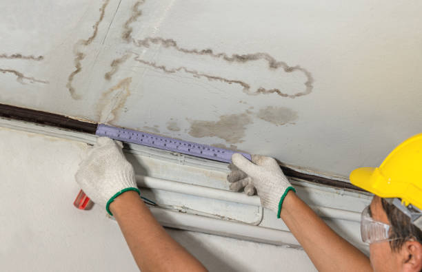 Reliable Sewage Cleanup contractor in Decatur, MI by Water Damage Irwin